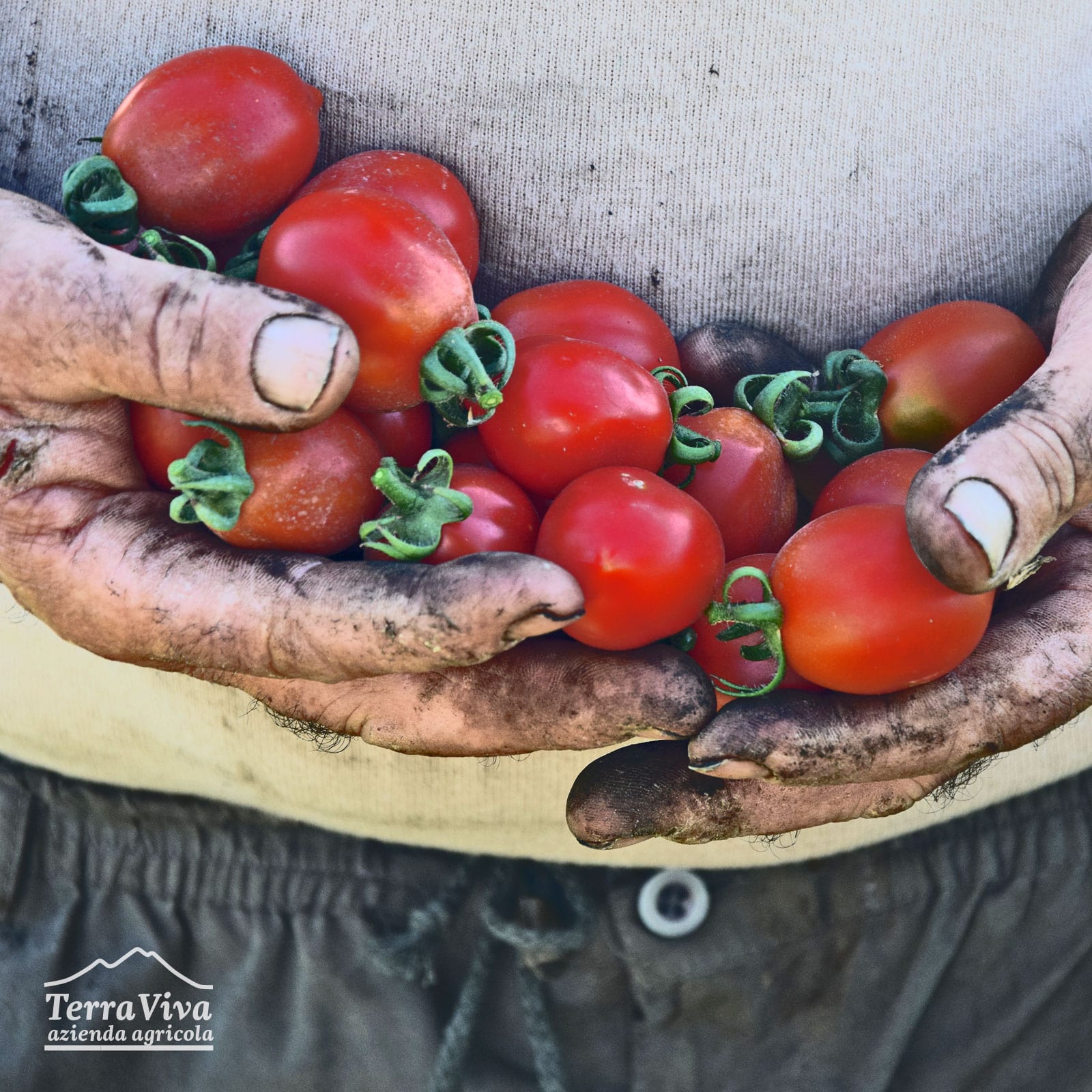 FoodMakers | Terraviva, il sogno di Giannina
